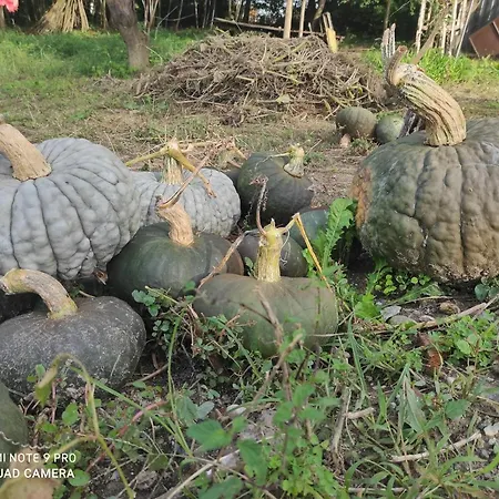 Maison Diletta Casa de Férias *