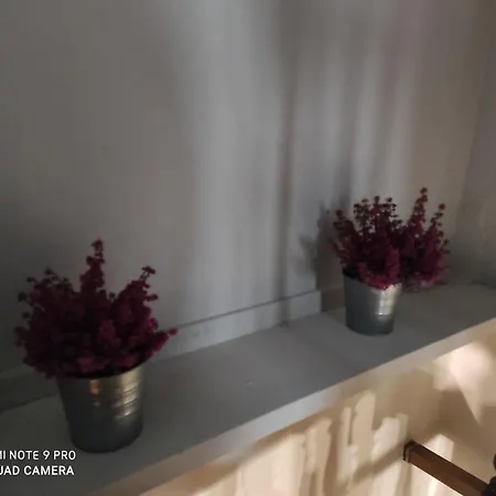 Maison Diletta Casa de Férias Castelletto sopra Ticino