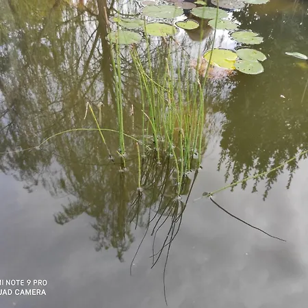 Maison Diletta Casa de Férias Castelletto sopra Ticino