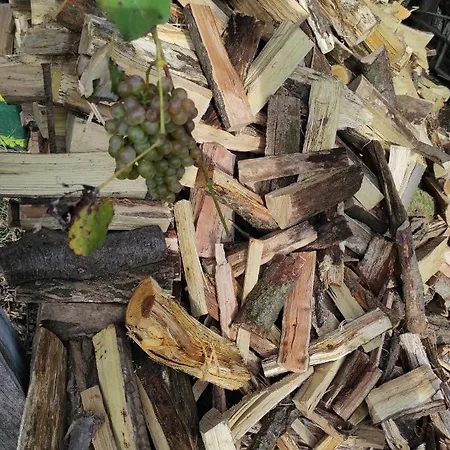 Maison Diletta Castelletto sopra Ticino