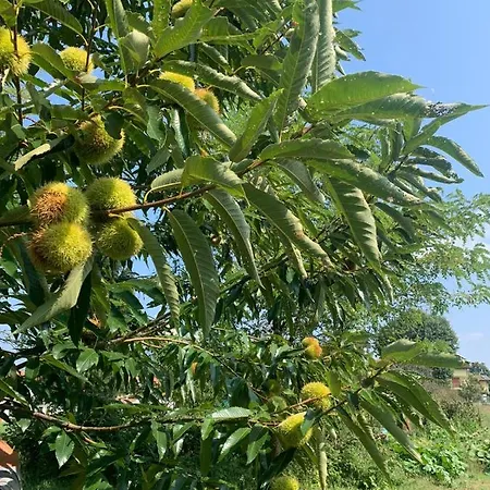 Casa de Férias Maison Diletta