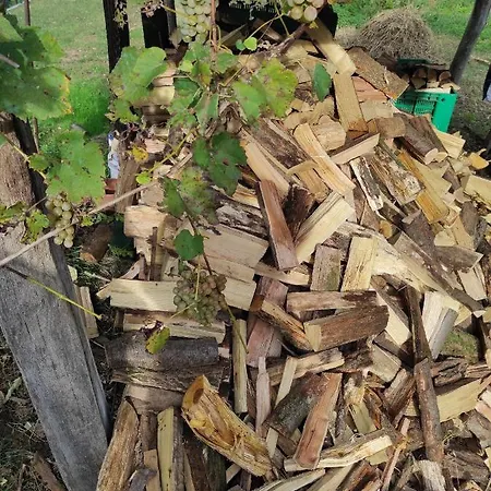 Maison Diletta Hébergement de vacances *