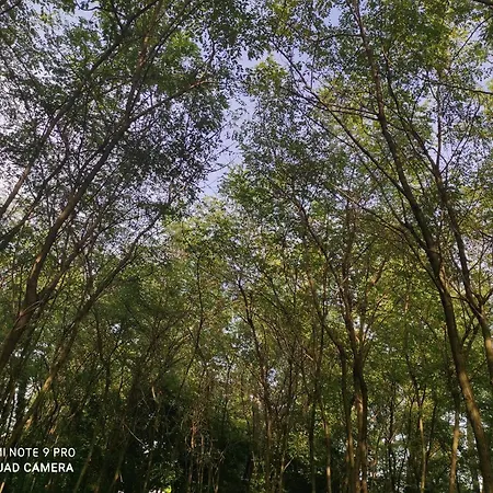 Maison Diletta Casa de Férias