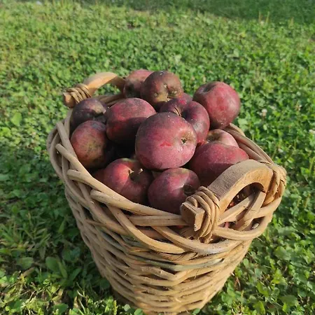 Maison Diletta Casa de Férias