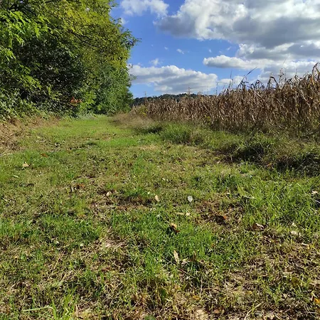 Maison Diletta Castelletto sopra Ticino