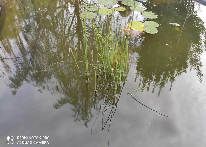 Maison Diletta Сasa de vacaciones Castelletto sopra Ticino